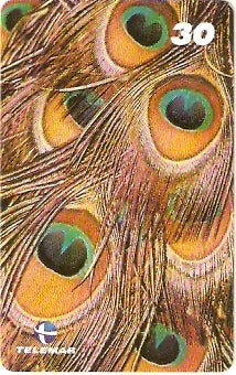 RJ-1860 - Penas de Pavão