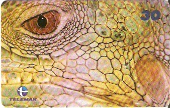 RJ-1861 - Olhos de Iguana