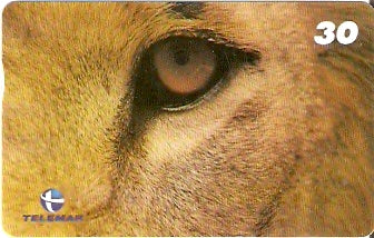 RJ-1862 - Olhos de Leão