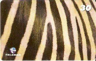 RJ-1917 - Pele de Zebra
