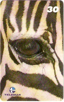 RJ-1915 - Olhos de Zebra