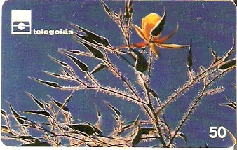 GO-018 - Flores do Cerrado