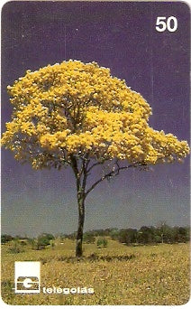 GO-023 - Ipê Amarelo