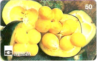 GO-025 - Pequi