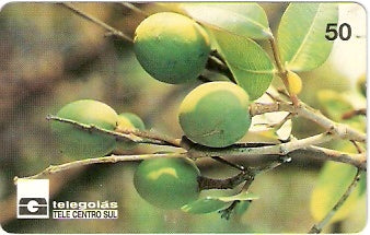 GO-028 - Mangaba