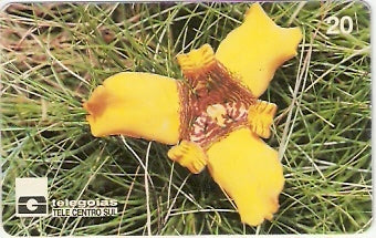 GO-030 - Bailarina - B2