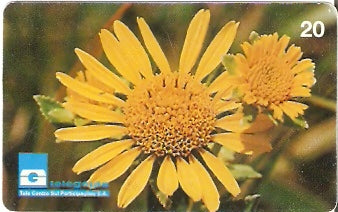 GO-033 - Margarida do Campo