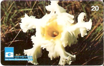 GO-035 - Velame do Campo