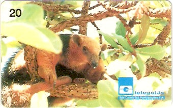 GO-052 - Tamanduá-Mirim