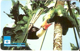 GO-048 - Tucano