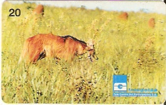 GO-054 - Lobo Guará