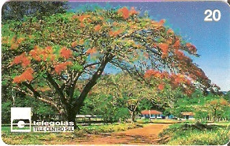 GO-074 - Parque Ecológico - B1