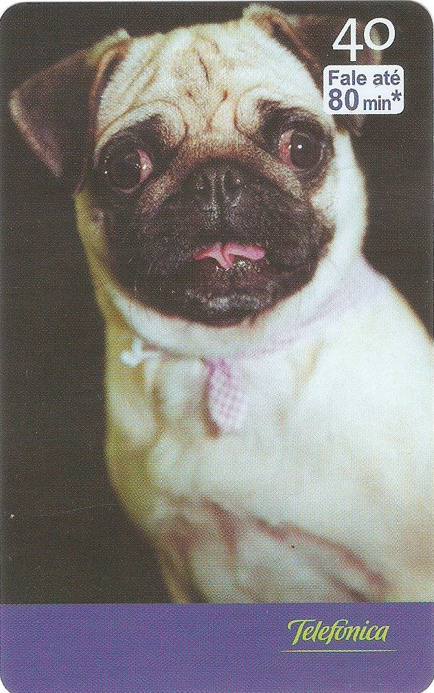 SP-2529 - Filhotes - 09/10 - C