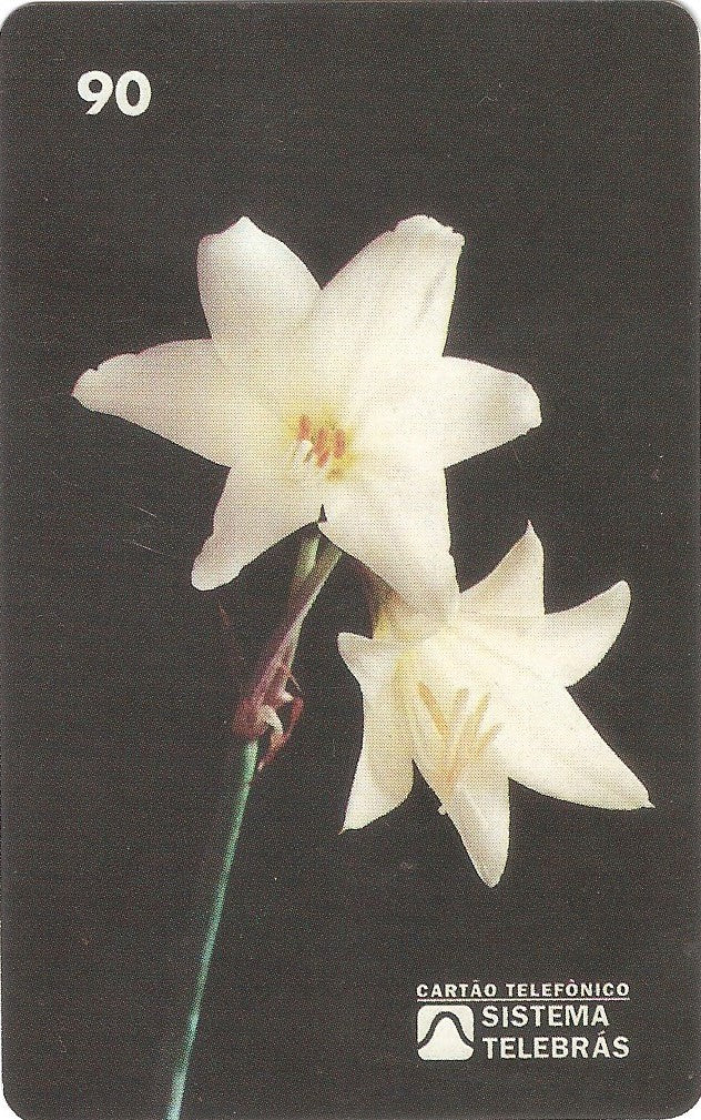 RR-014 - Lírio dos Campos