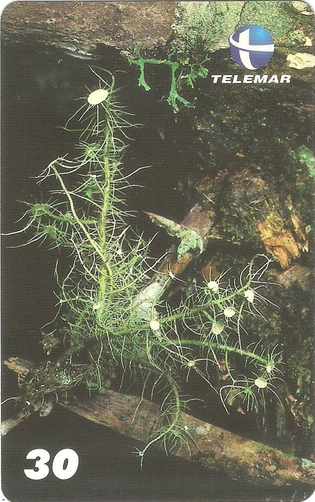 ES-147 - Fungos - 09/10