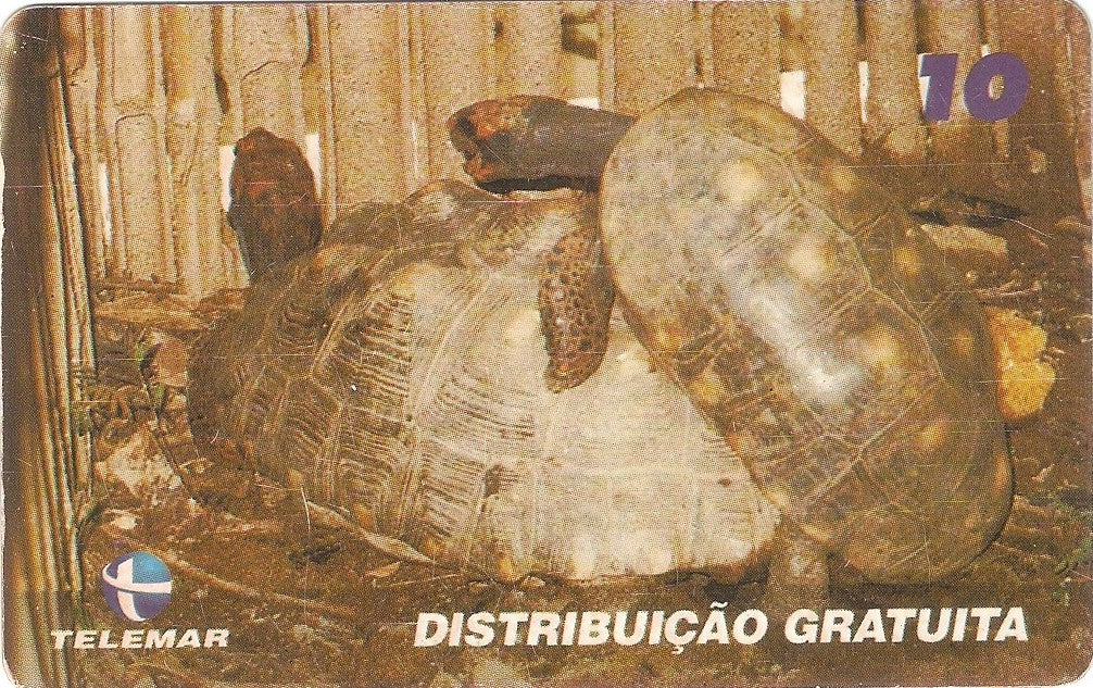 RJ-1195 - Jabuti