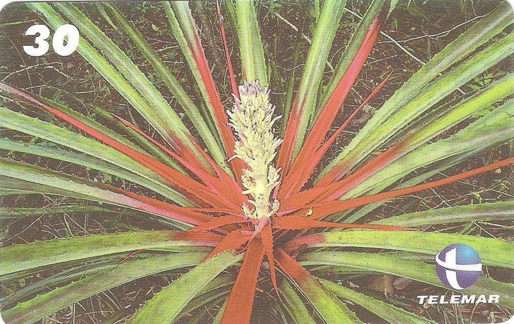 ES-157M - Flora - 07/10