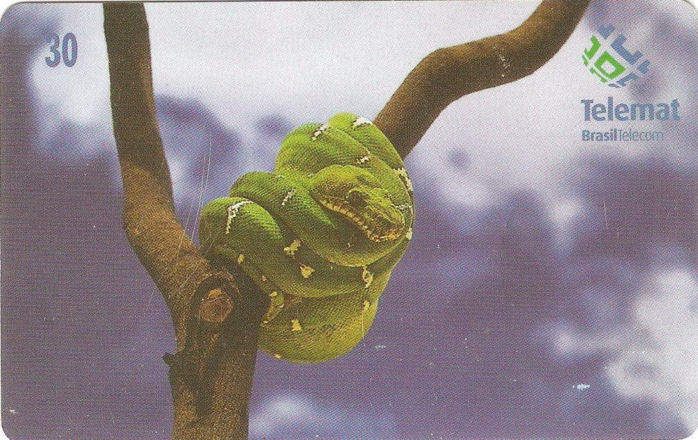 MT-160 - Cobra Papagaio - 30 C