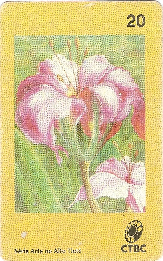 CTBC-118 - Flor ao Vento