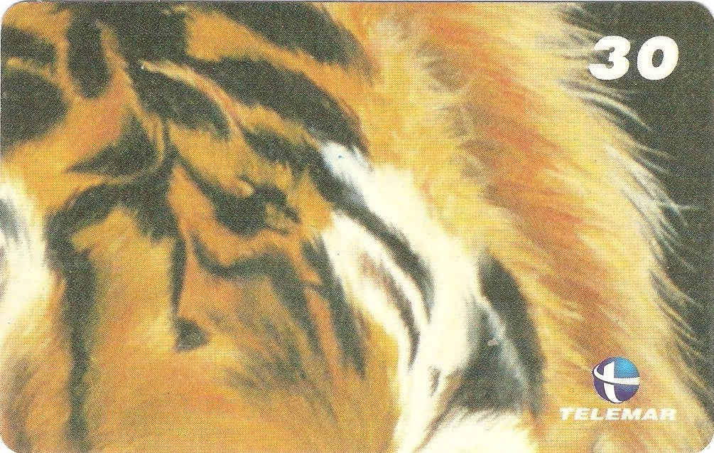 RJ-1325M - Tigre - 04/10