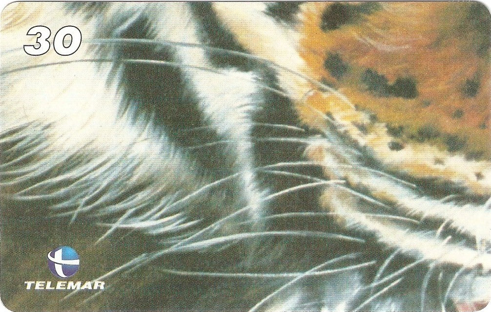 RJ-1328M - Tigre - 07/10