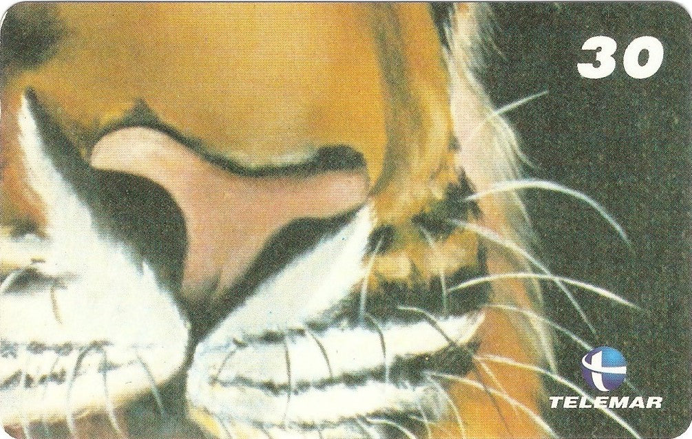 RJ-1329M - Tigre - 08/10