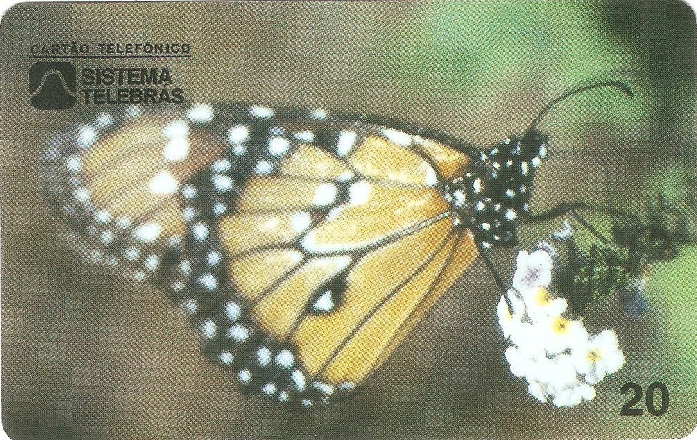 CE-051M - Borboleta Monarca