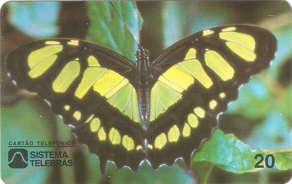 CE-052M - Borboleta Amarela