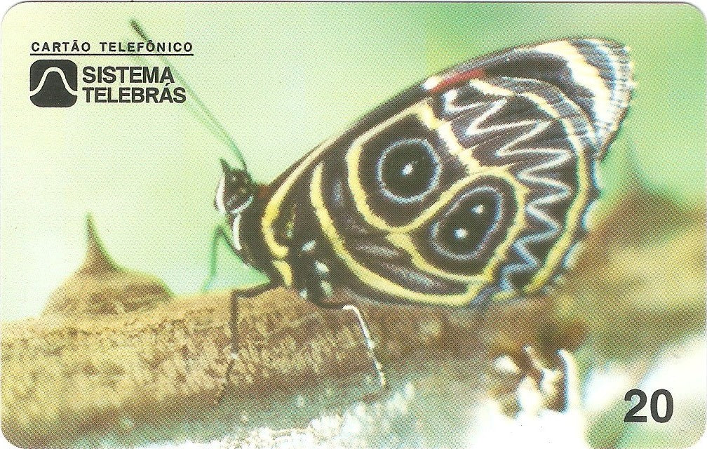 CE-053M - Borboleta 80