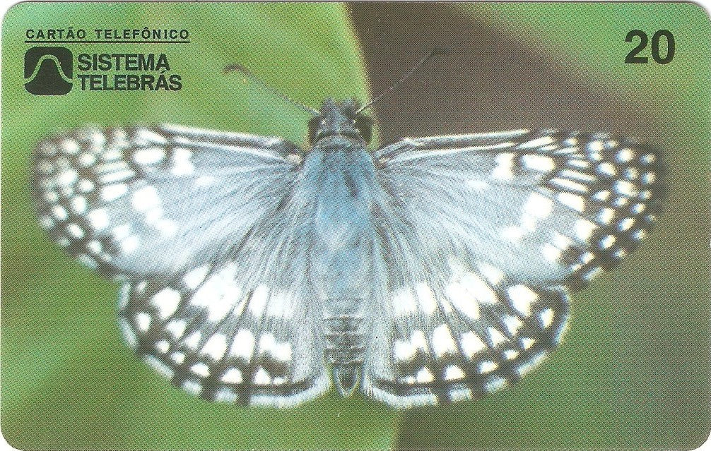 CE-055 - Mariposa