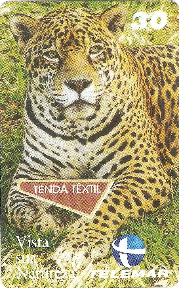 MG-0221 - Tenda Têxtil - 2/4