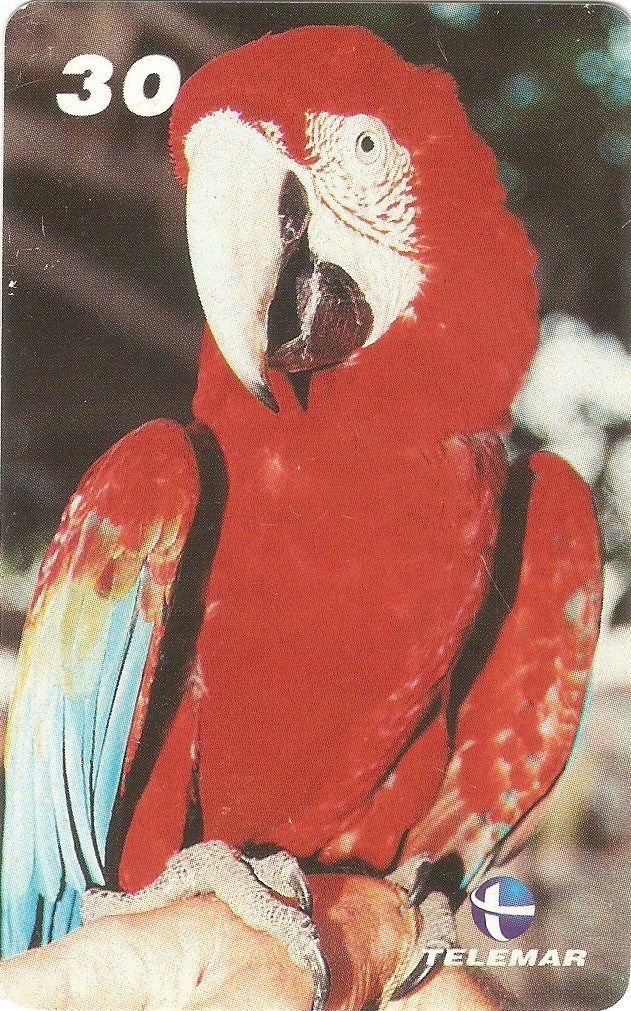 AP-091 - Arara Vermelha