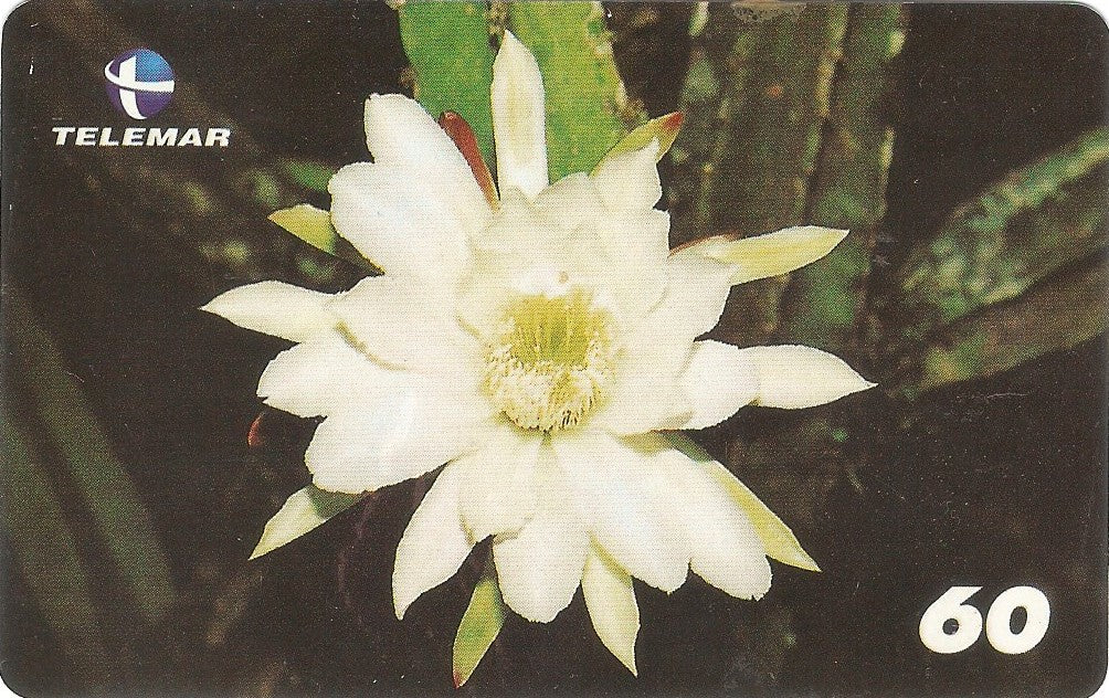 BA-583 - Rainha-da-Noite