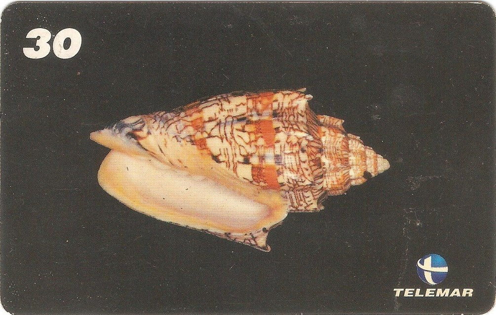 AM-067 - Conchas - 2/7