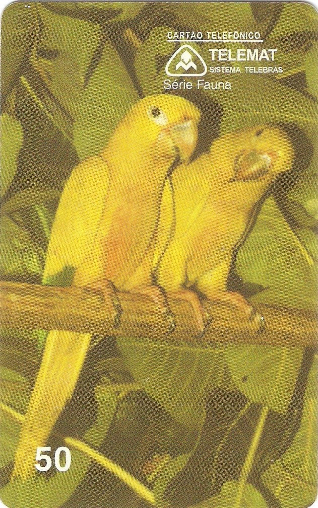 MT-032 - Ararajuba
