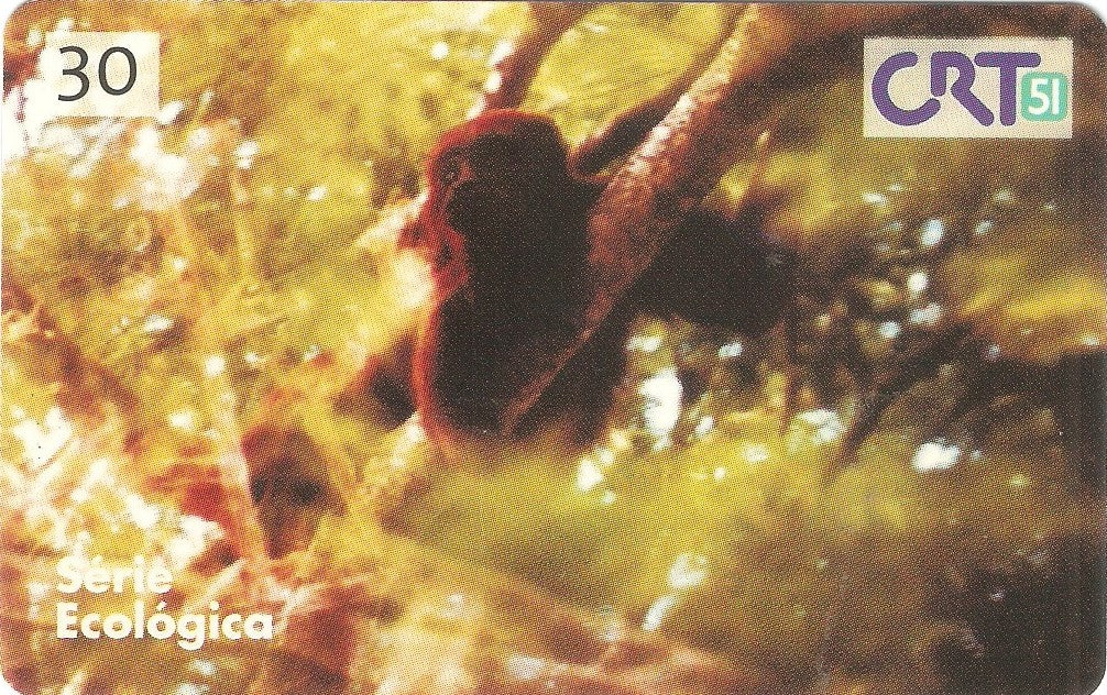 RS-0126M - Série Ecológica - 03/12