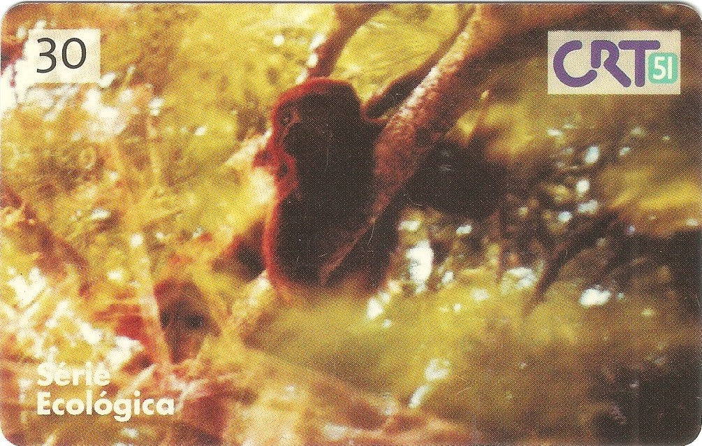 RS-0126 - Série Ecológica - 03/12
