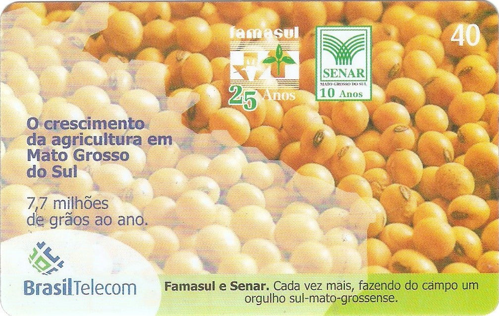 MS-321 - Famasul - 2/4