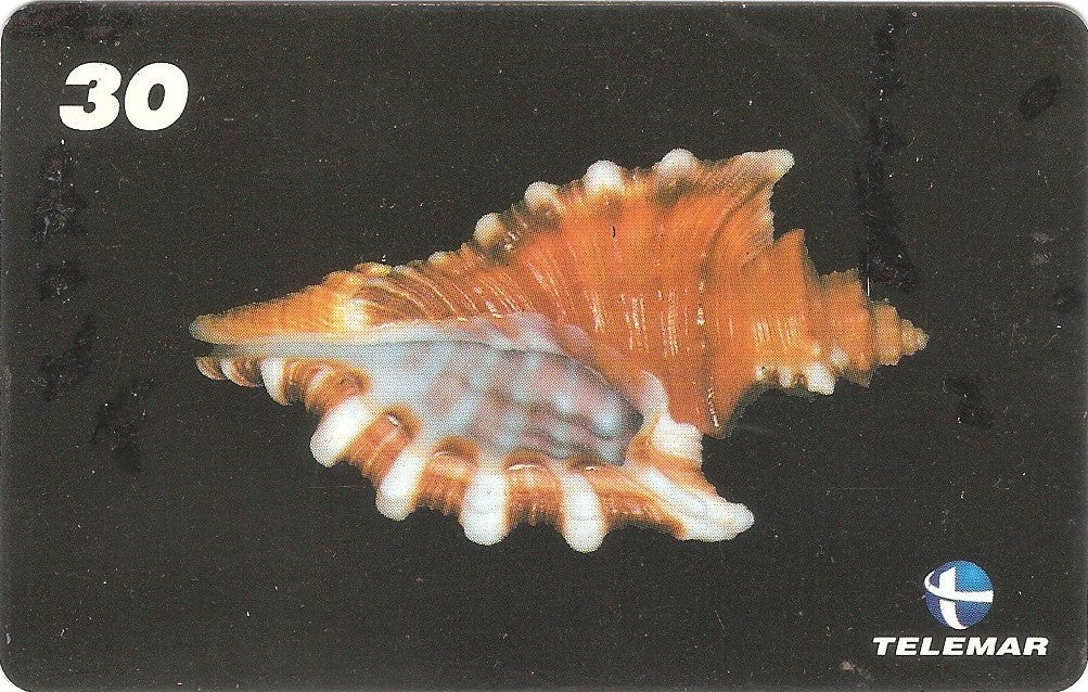 AM-070 - Conchas - 5/7