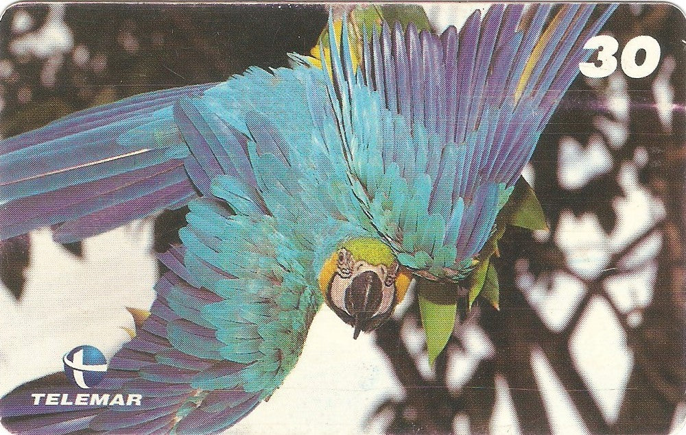 AM-079 - Arara Azul