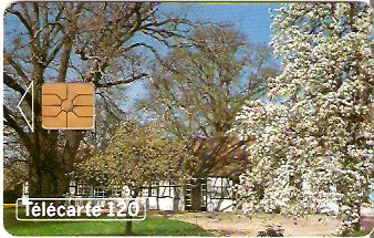 FRA-0467 - Primavera