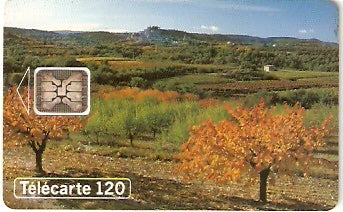 FRA-0513 - Outono