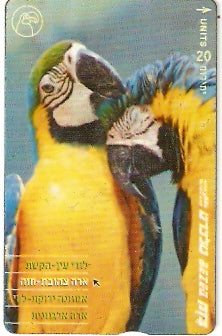 ISR-293 - Papagaio - 2/4