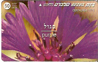 ISR-210 - Flor - Púrpura