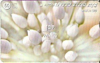 ISR-212 - Flor - Branca