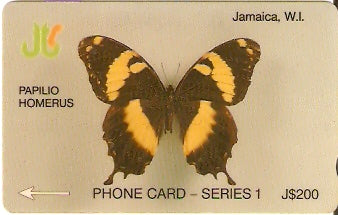 JAM-008D - Borboleta