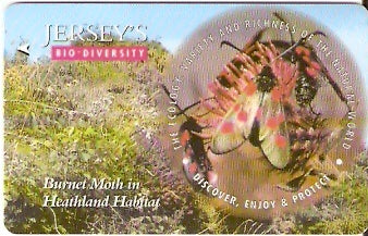 JER-174 - Burnet moth