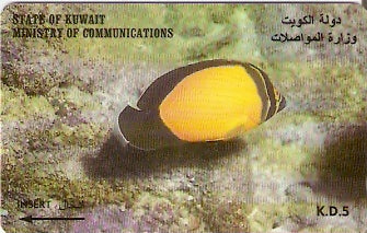 KWT-39C - Chaetodon Melapterus