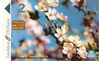LAT-D024 - Primavera