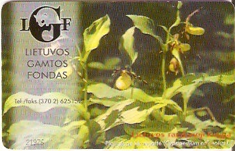 LIT-C025 - Vida Selvagem